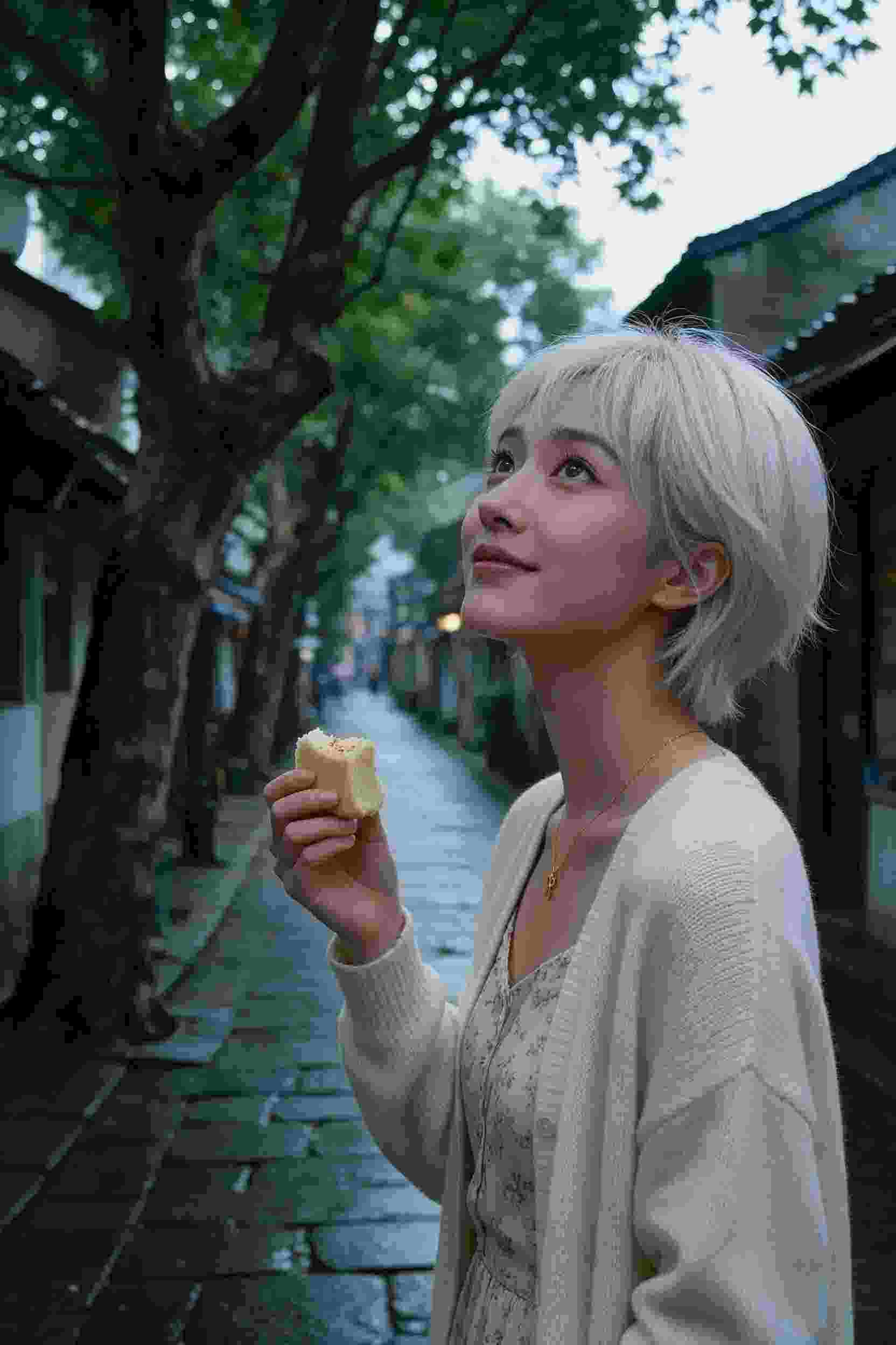 律政风云